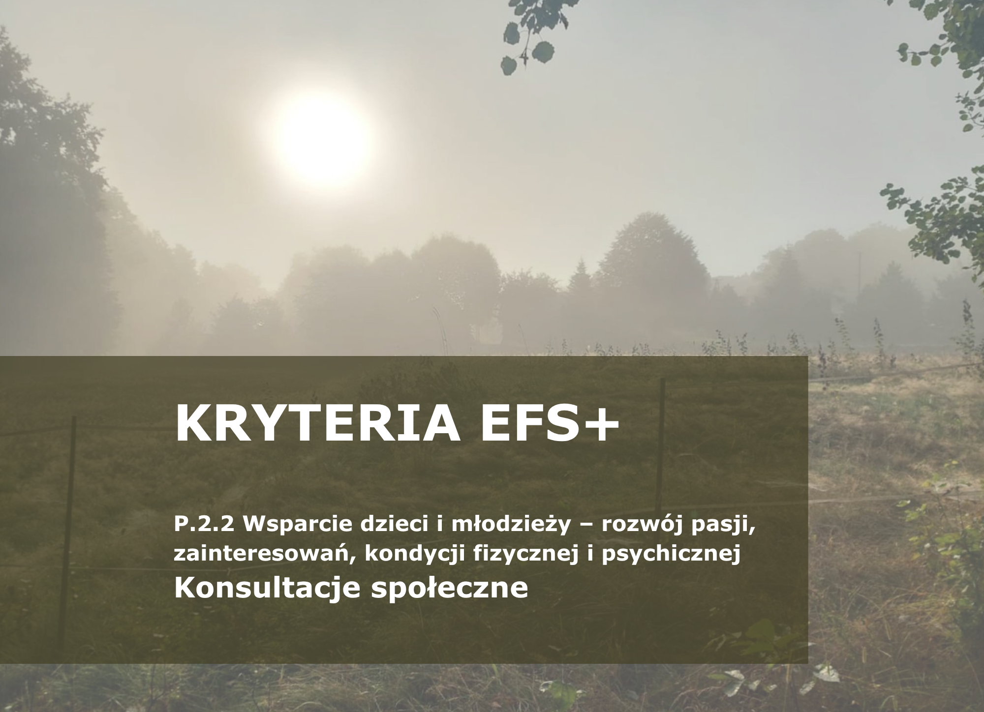 KRYTERIA_EFS.png