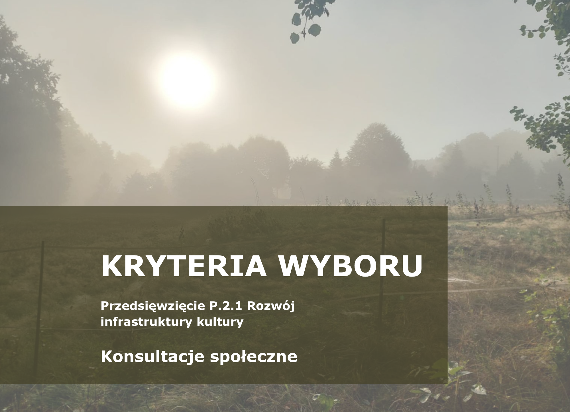 KRYTERIA_P.2.1.png