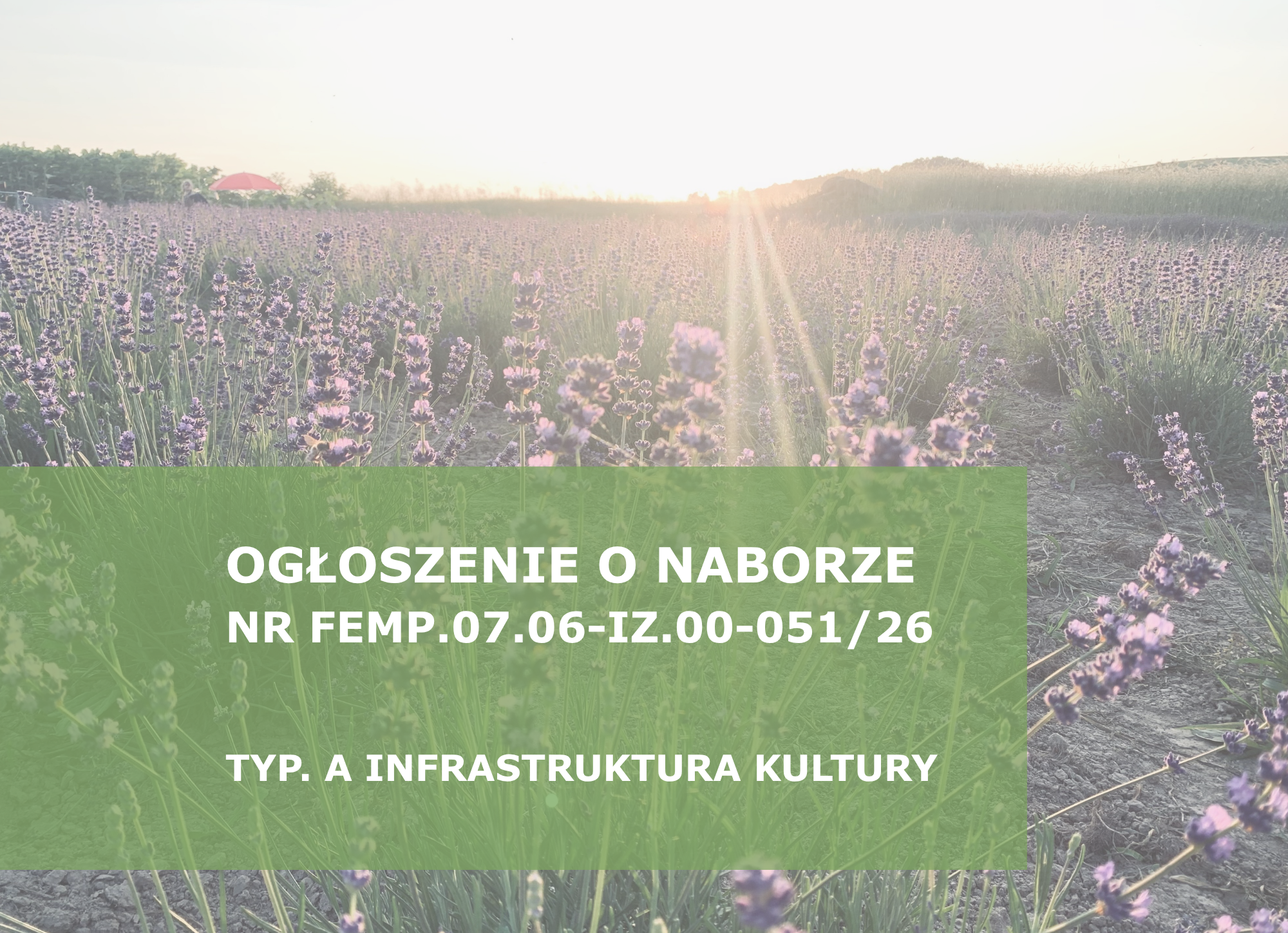 Wzór_3_na_stronę_www_59TYP_A.png