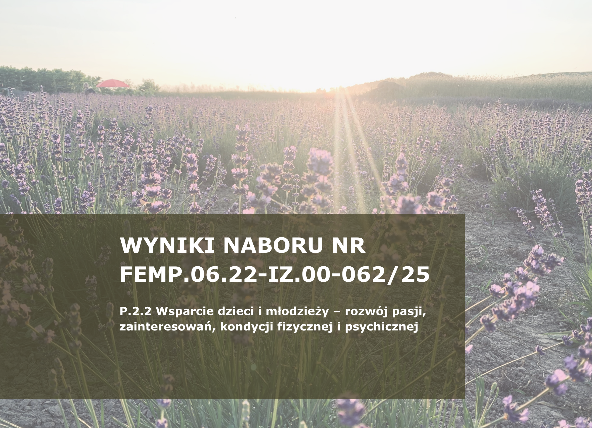 Wzór_3_na_stronę_www_61_WYNIKI_EFS.png