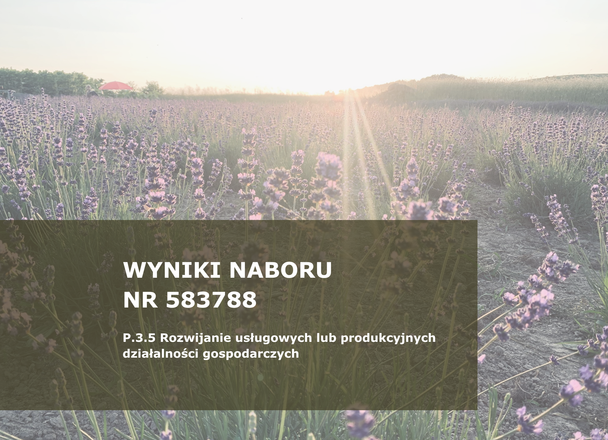 Wzór_3_na_stronę_www_62_WYN.ROZ_DG.png