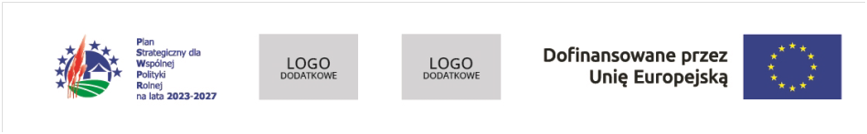 kogo6.jpeg